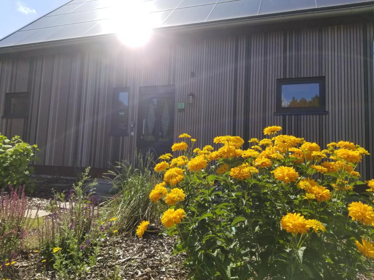 Haus Am See リーステ エクステリア 写真